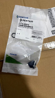 Pentair Sta-Rite U178-920P 0.25" NPT Plug with O-Ring